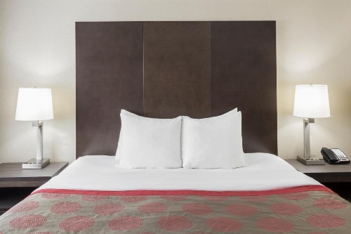 Ramada by Wyndham Monterey image 21